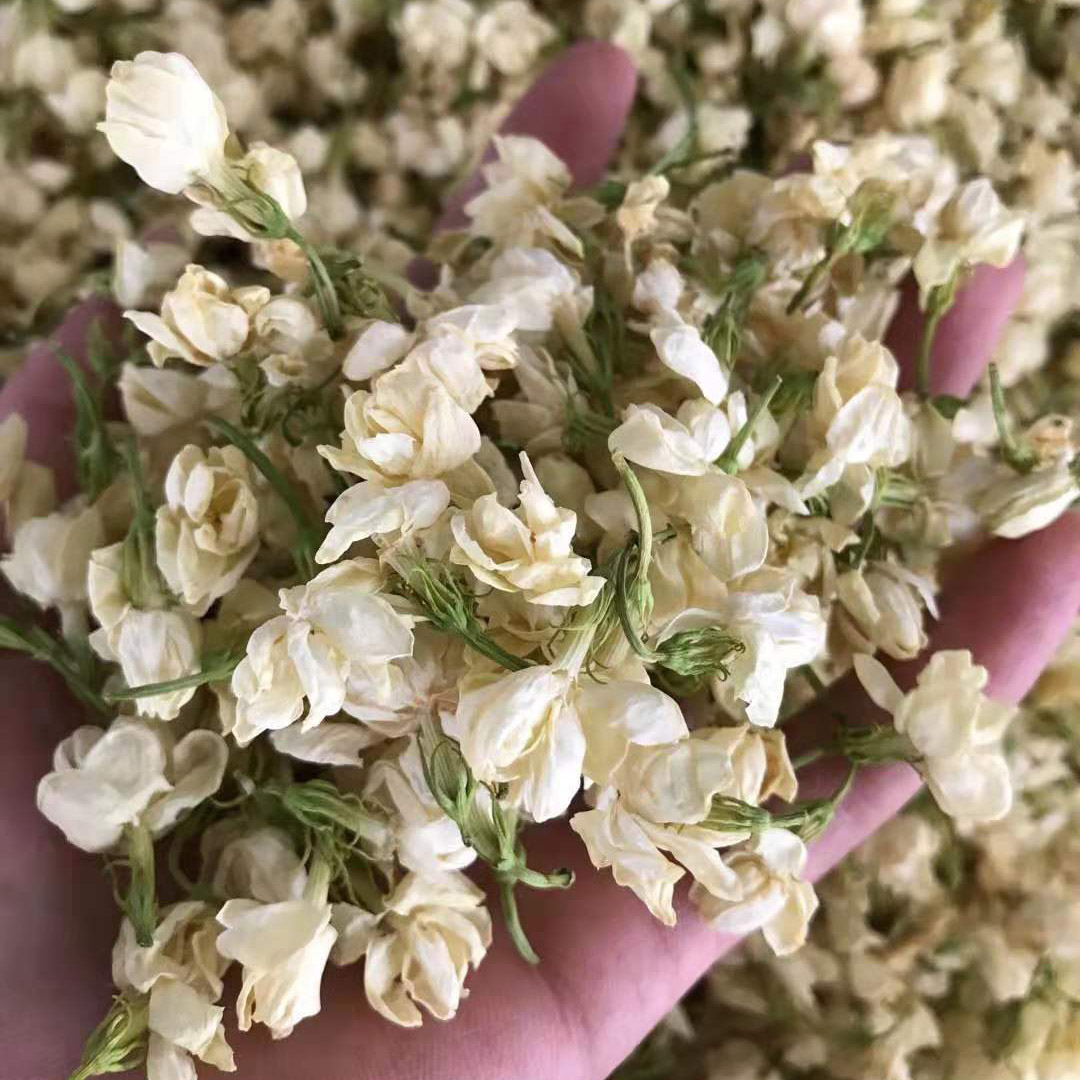 干茉莉花